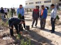 گزارش تصویری مراسم روز درخت کاری و تقدیر از نیروهای باغبانی دانشگاه